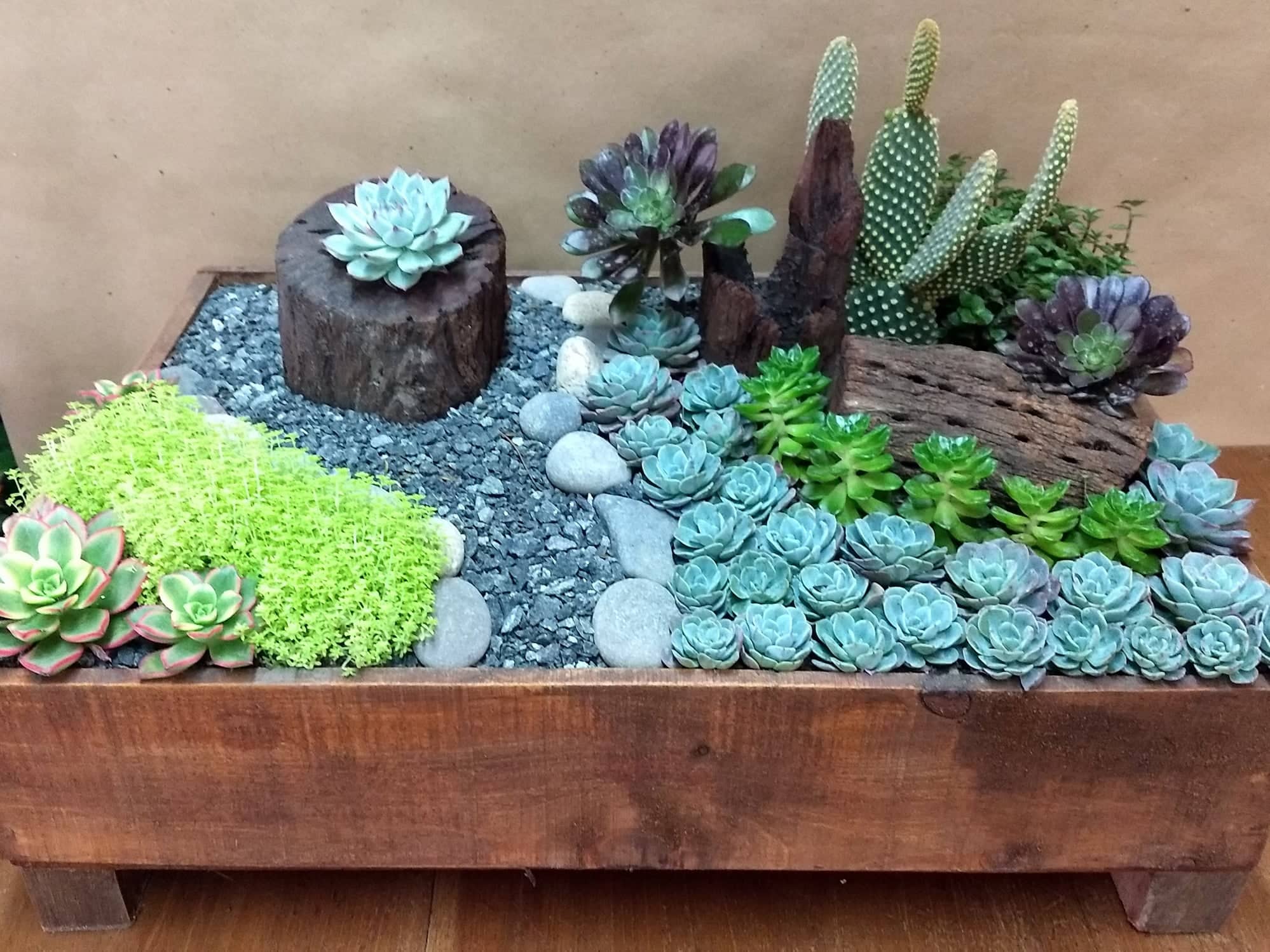 Mini paisaje 